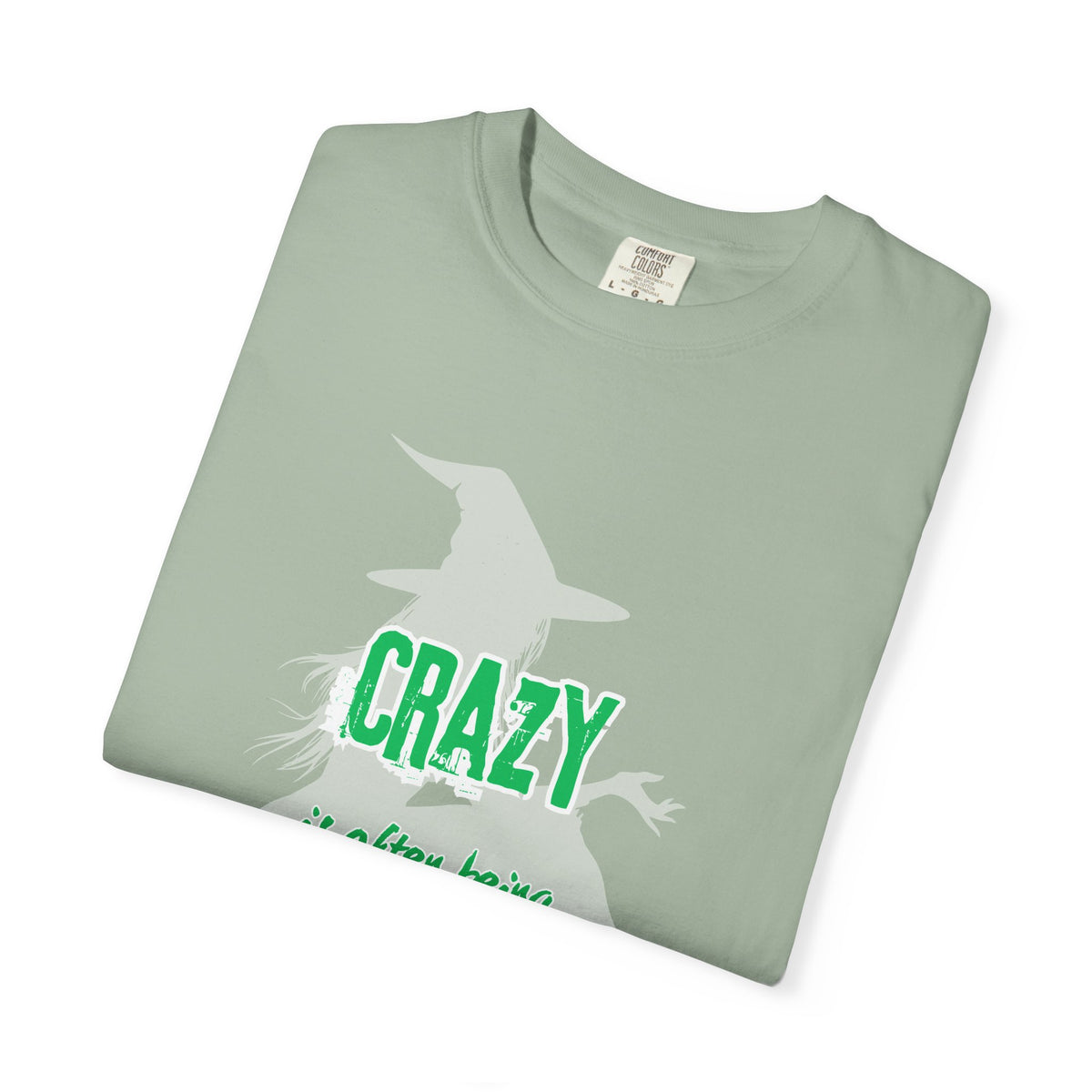 Crazy Is Often Being Right Too Early T-Shirt