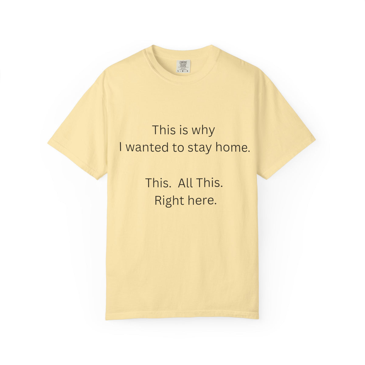 This is Why I Wanted to Stay Home T-shirt