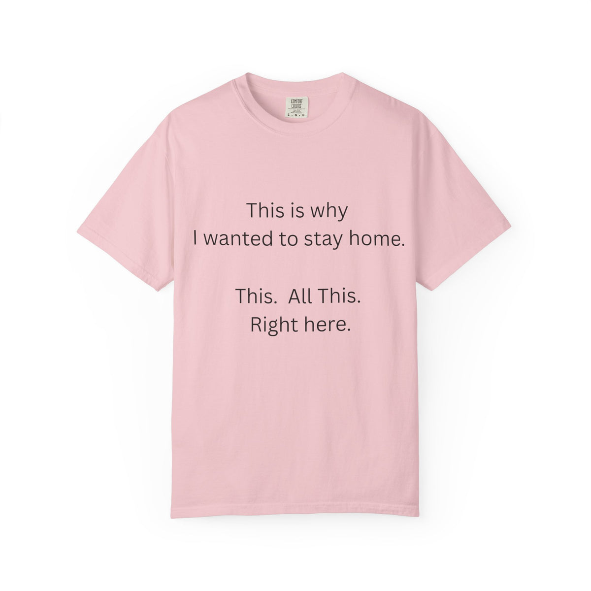 This is Why I Wanted to Stay Home T-shirt
