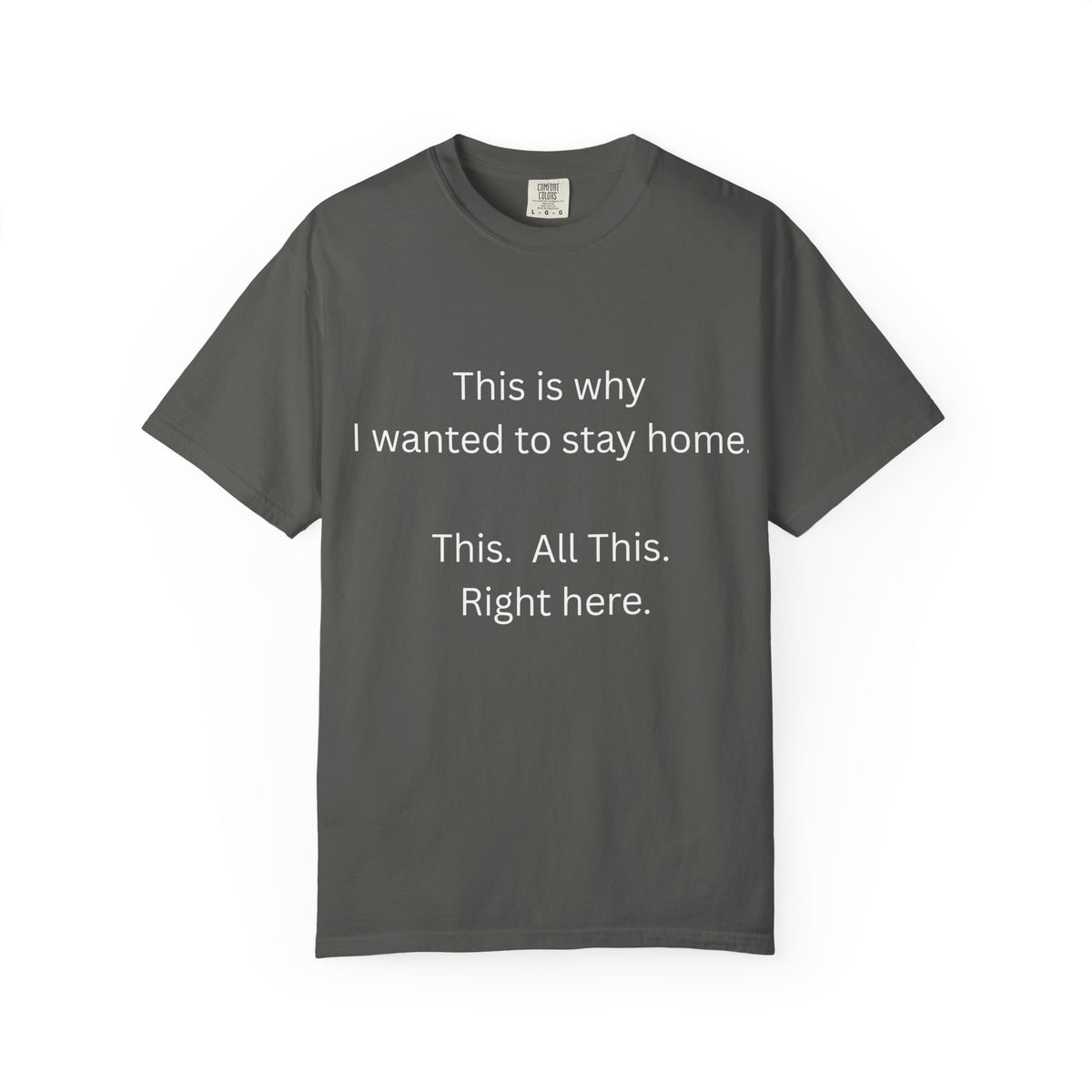 This is Why I Wanted to Stay Home T-shirt