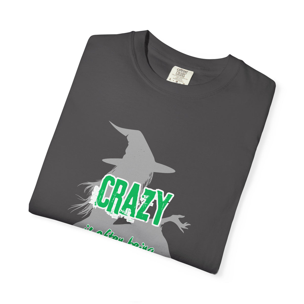 Crazy Is Often Being Right Too Early T-Shirt