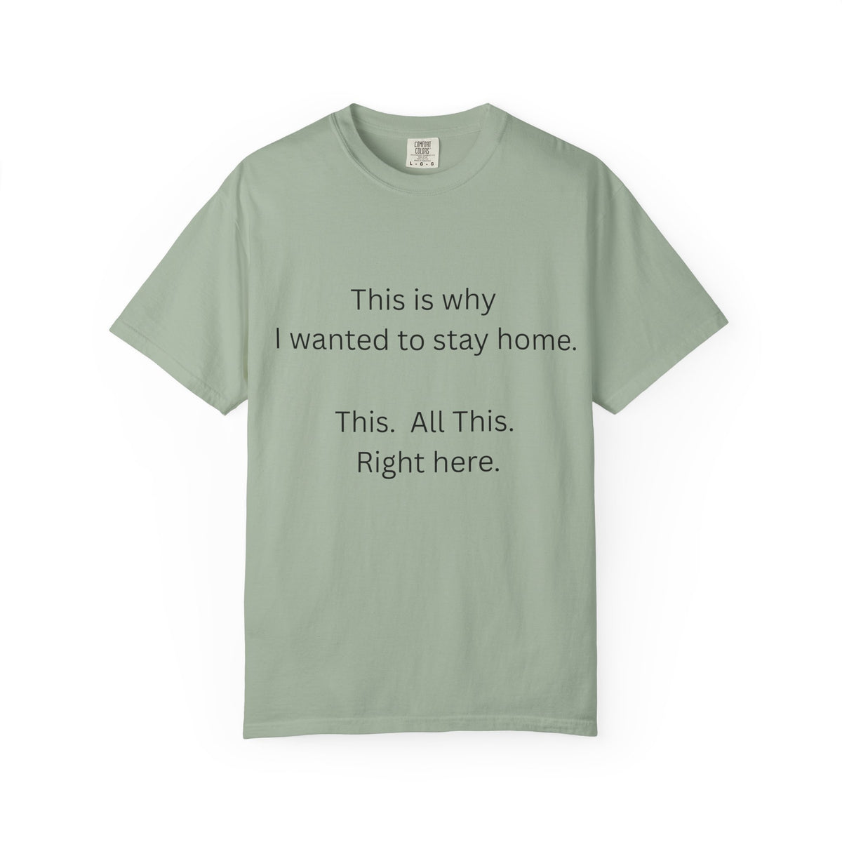 This is Why I Wanted to Stay Home T-shirt