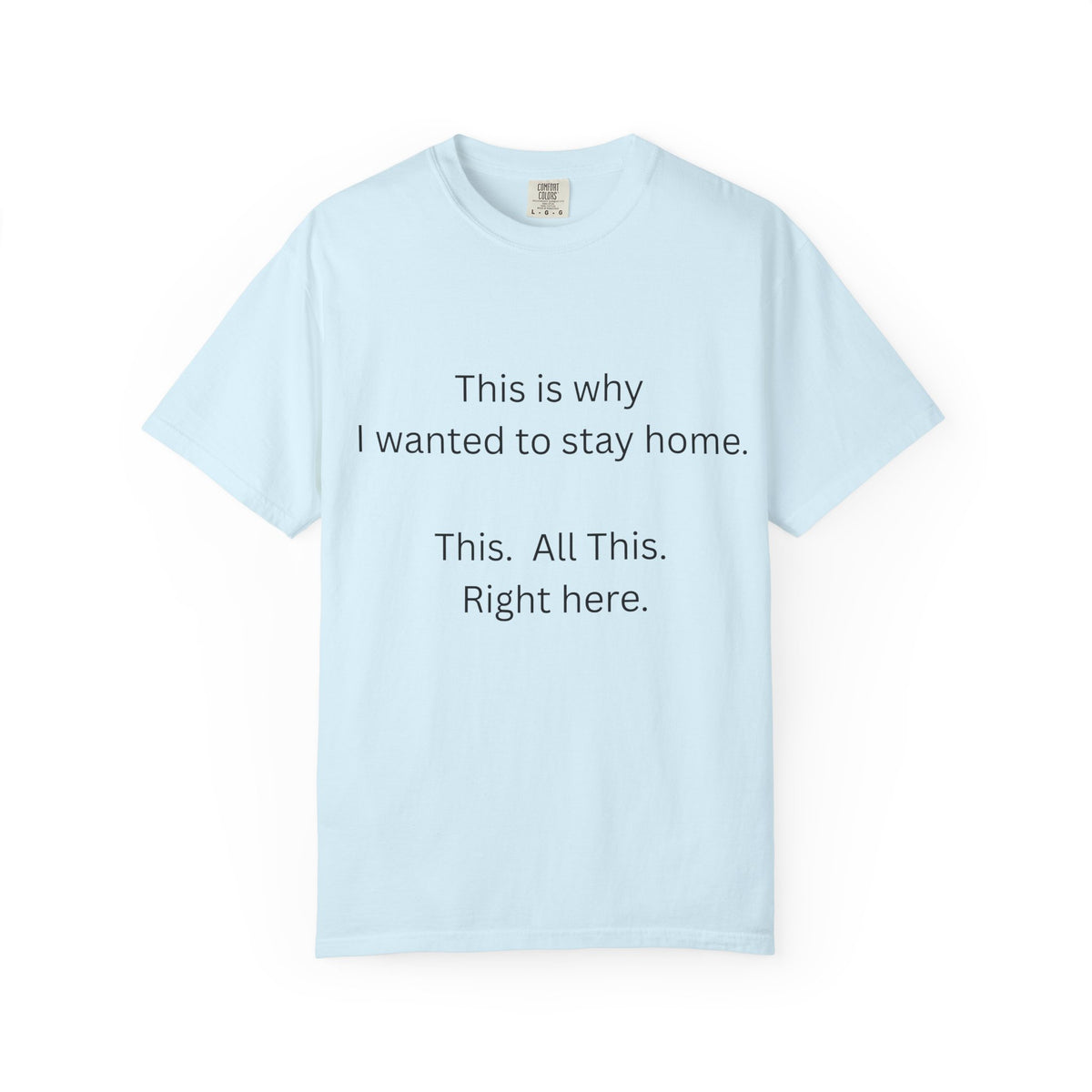 This is Why I Wanted to Stay Home T-shirt