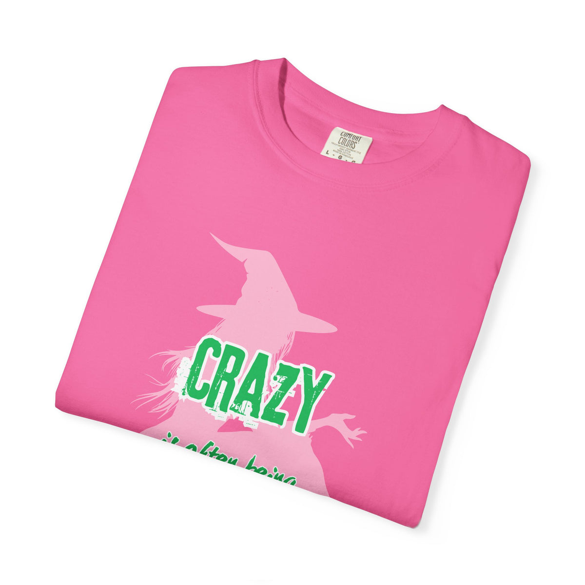 Crazy Is Often Being Right Too Early T-Shirt