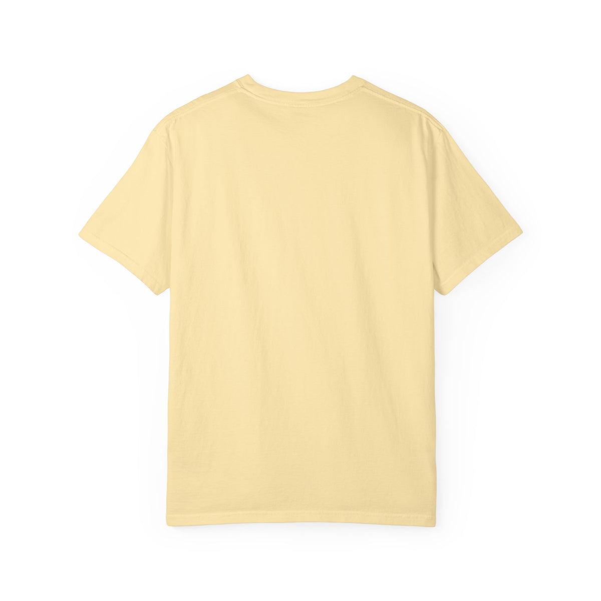 This is Why I Wanted to Stay Home T-shirt