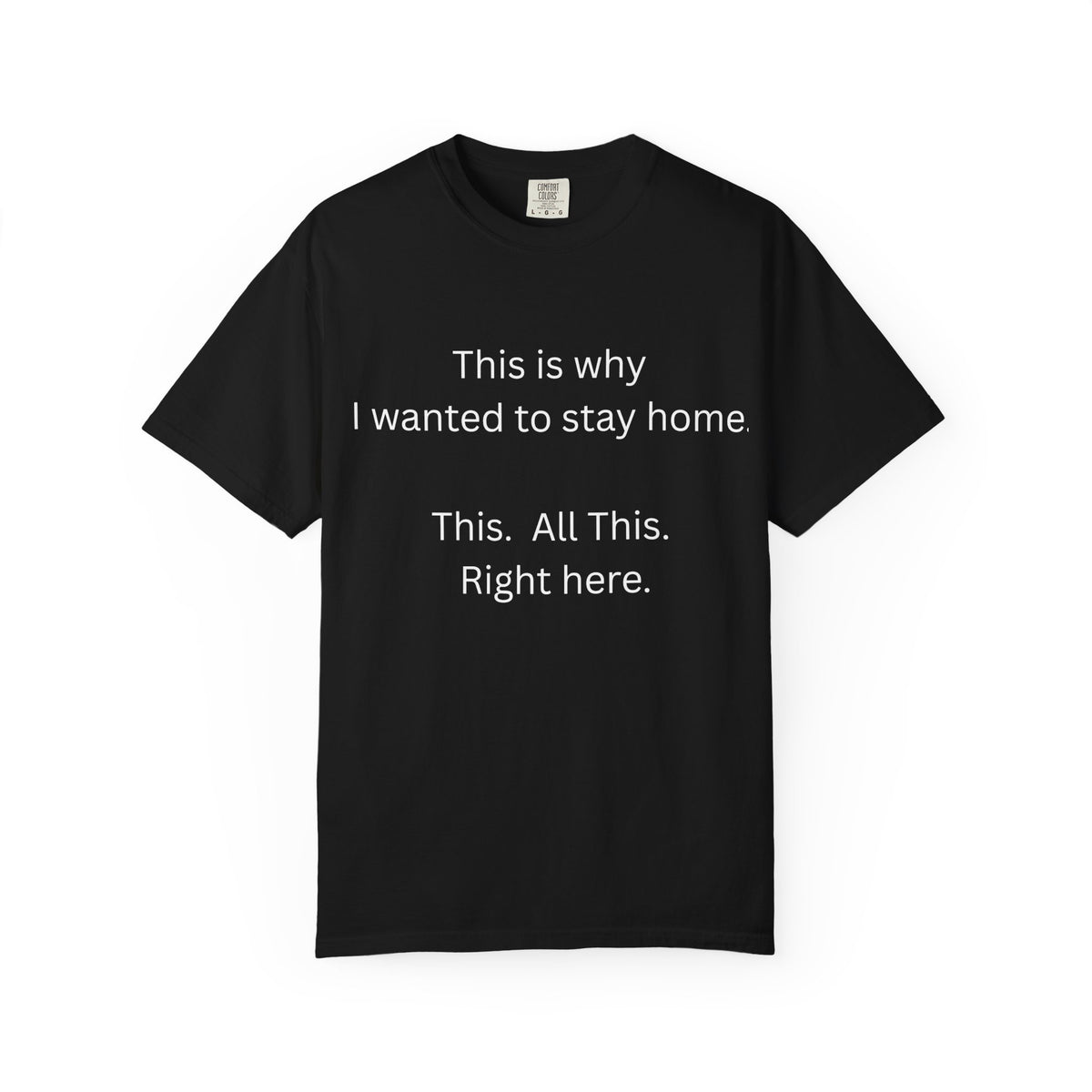This is Why I Wanted to Stay Home T-shirt