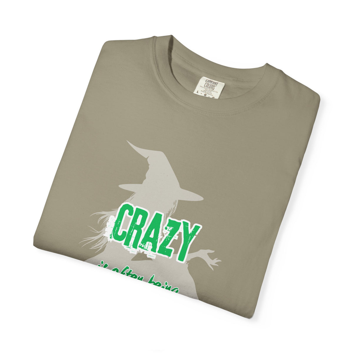 Crazy Is Often Being Right Too Early T-Shirt