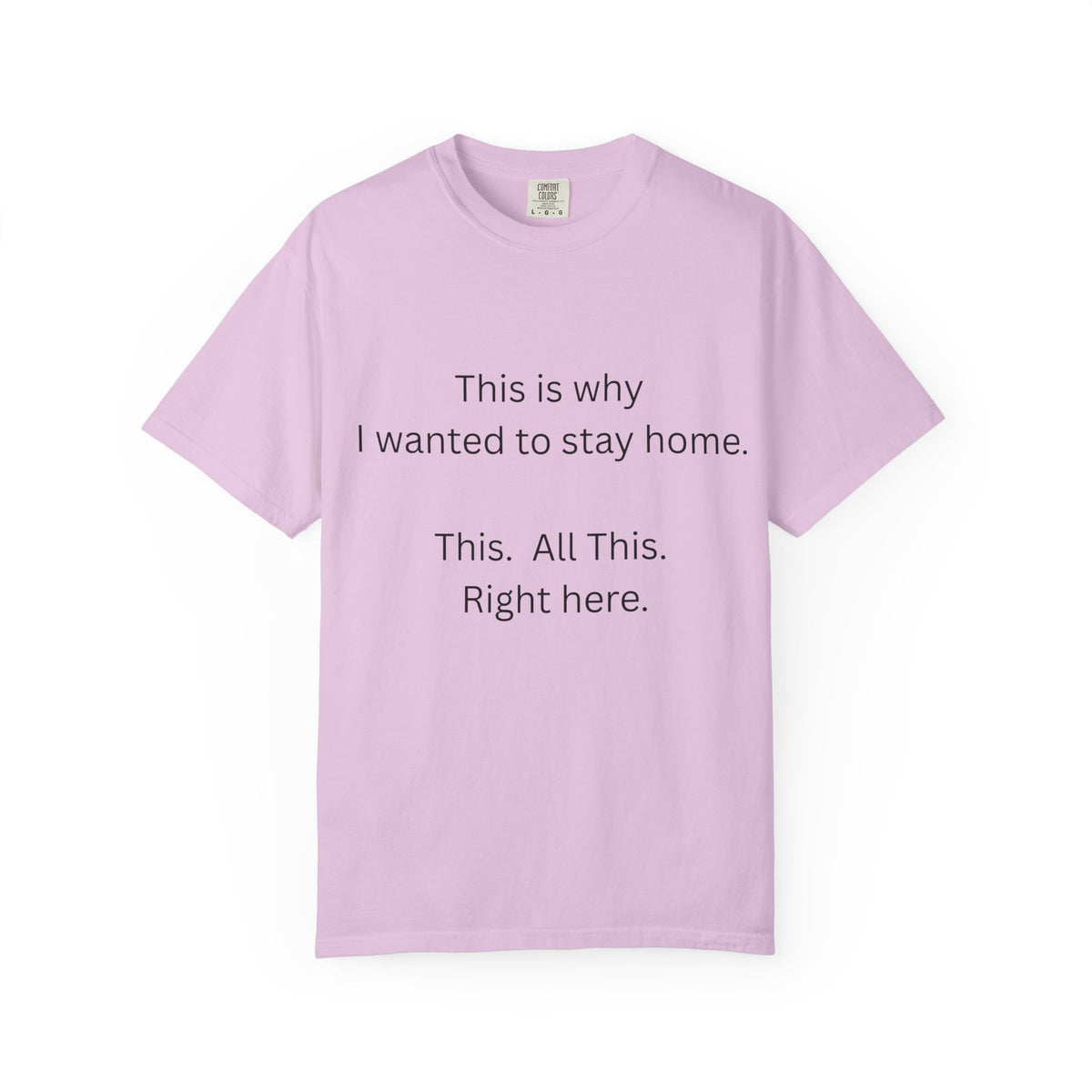 This is Why I Wanted to Stay Home T-shirt
