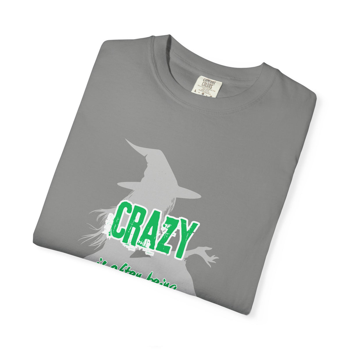 Crazy Is Often Being Right Too Early T-Shirt