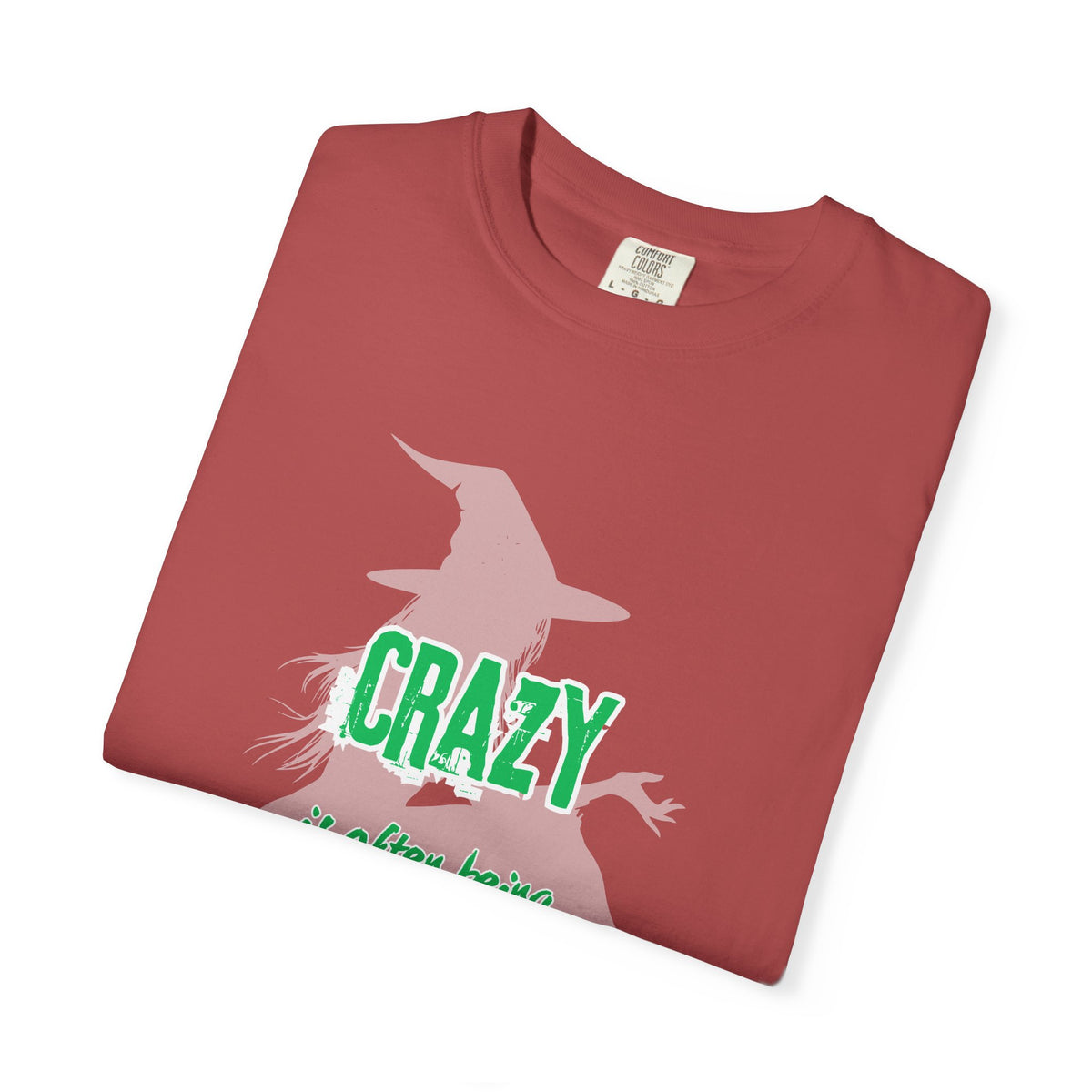 Crazy Is Often Being Right Too Early T-Shirt