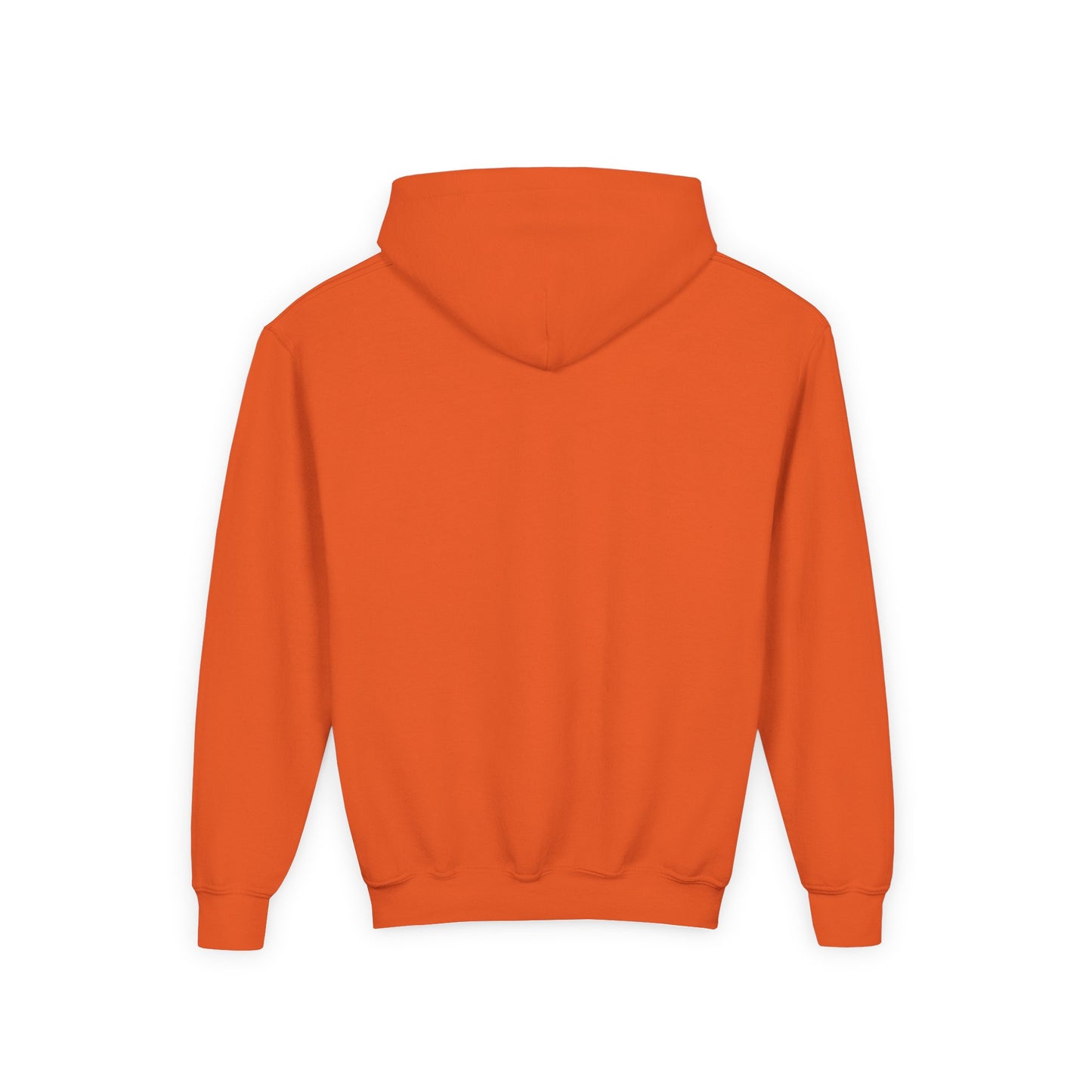 Youth Football Tiger Hoodie