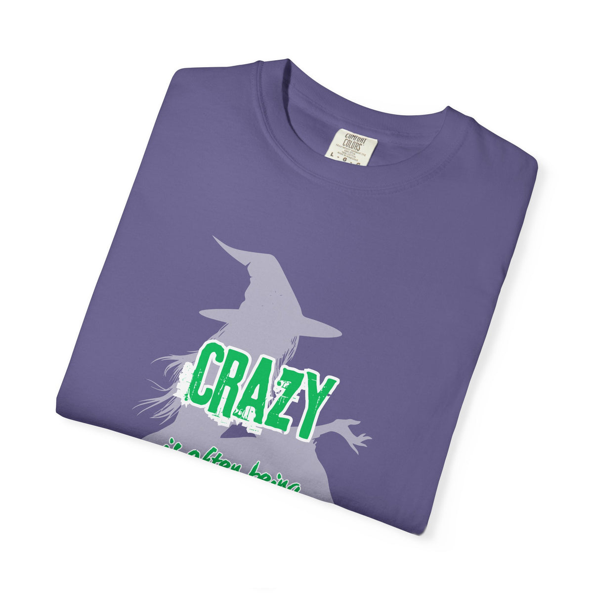 Crazy Is Often Being Right Too Early T-Shirt