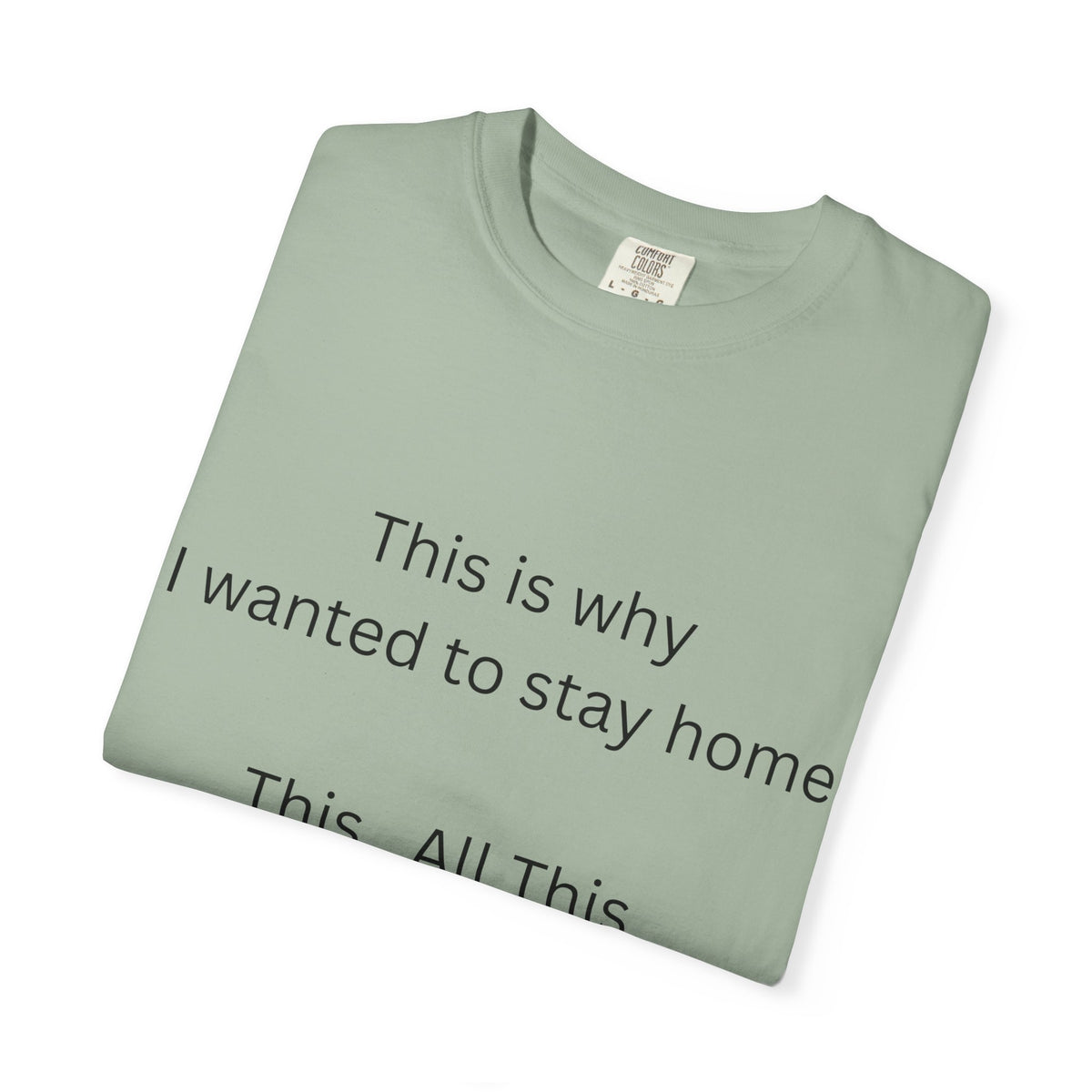 This is Why I Wanted to Stay Home T-shirt