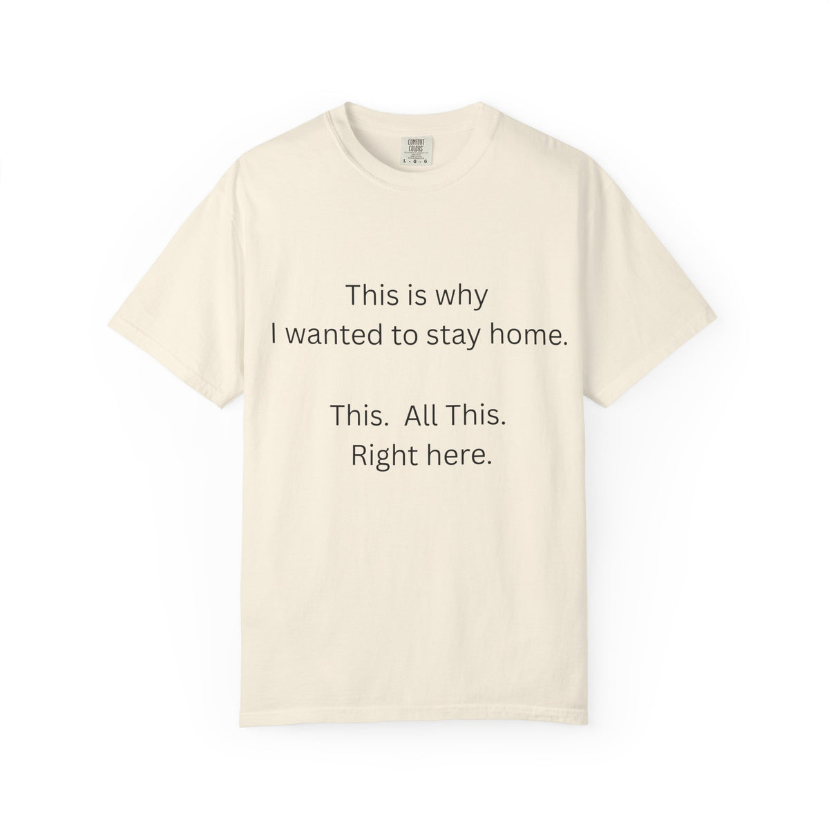 This is Why I Wanted to Stay Home T-shirt