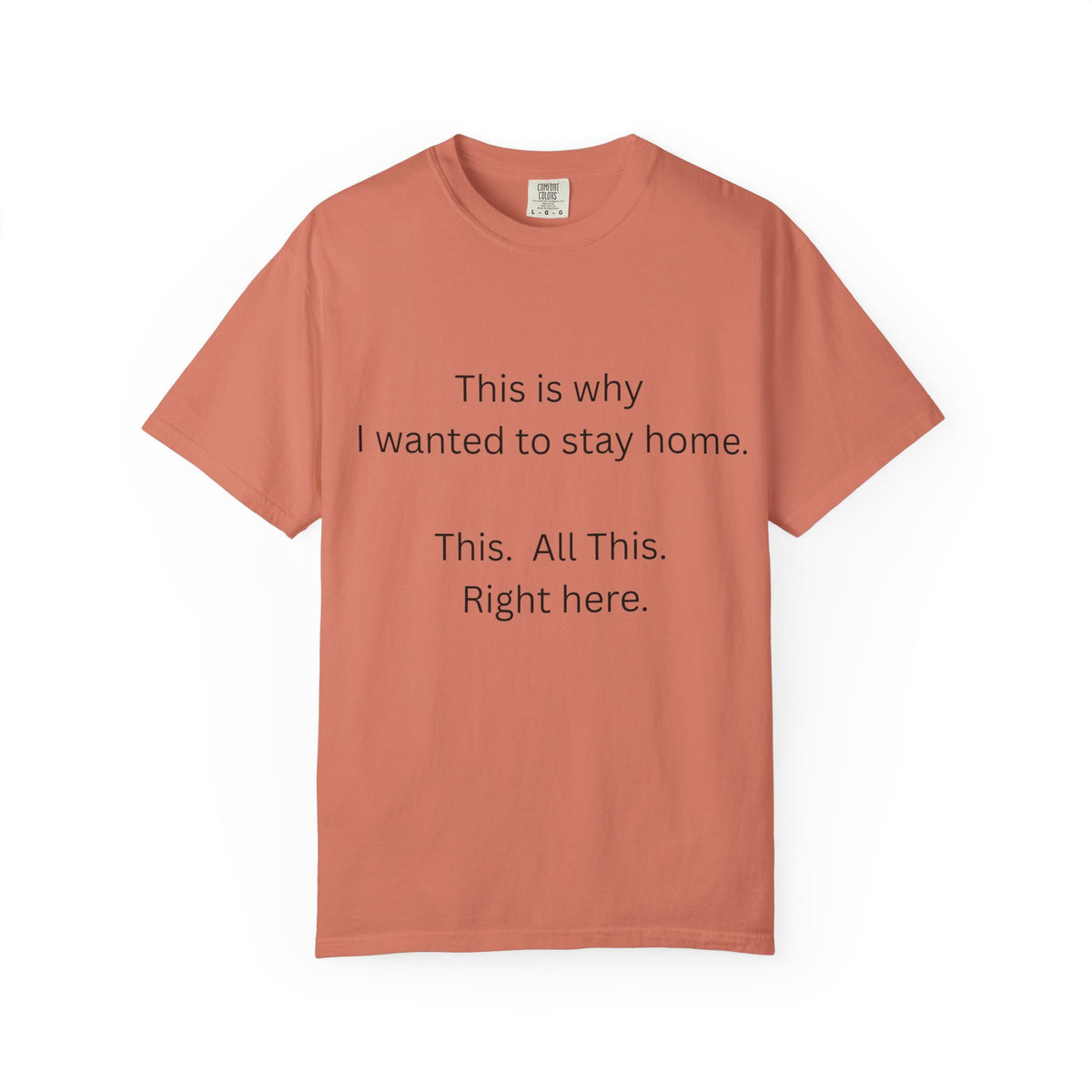 This is Why I Wanted to Stay Home T-shirt