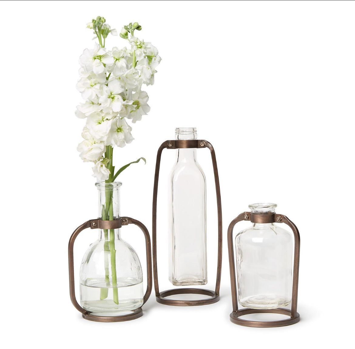 Bottle Vases